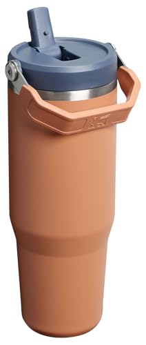 Stanley IceFlow Flip Straw Tumbler 30 oz Insulated Stainless Steel Lilac Z941193