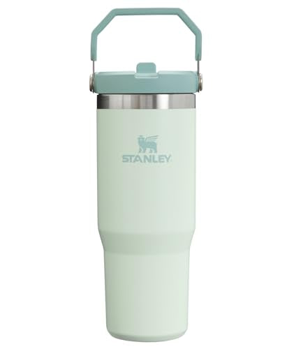 Stanley IceFlow Flip Straw Tumbler 30 oz Insulated Stainless Steel Lilac Z941193