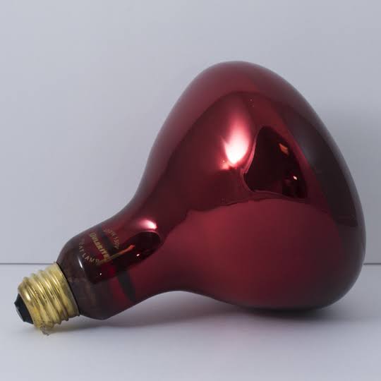 Bulbrite Incandescent BR40 250W Dimmable Red Heat Lamp Bulb, 6 Pack O405725