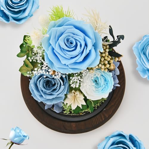 Rose in Glass Dome with LED Light - Gifts for Women Mom Grandma L94341