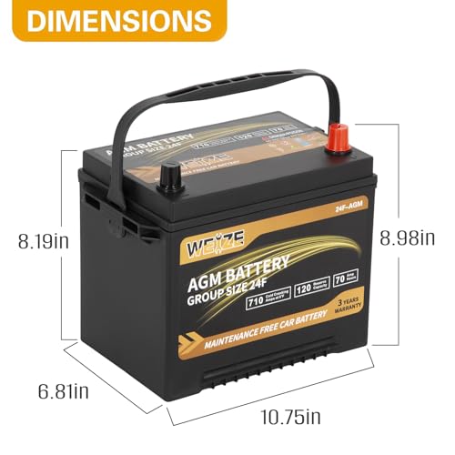 Weize Platinum AGM Battery BCI Group 35, 650CCA Y238491
