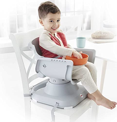 Fisher-Price Baby to Toddler High Chair SpaceSaver Portable Booster Seat with Washable Tray, Windmill E548