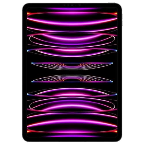 Apple iPad Pro 11-inch Wi-Fi 128GB Space Gray (Renewed) X44566