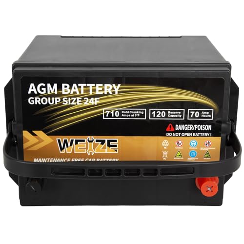 Weize Platinum AGM Battery BCI Group 35, 650CCA Y238491