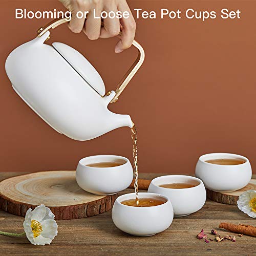 ZENS Modern Japanese Tea Set 27 oz Ceramic Teapot with 4 Cups F3504