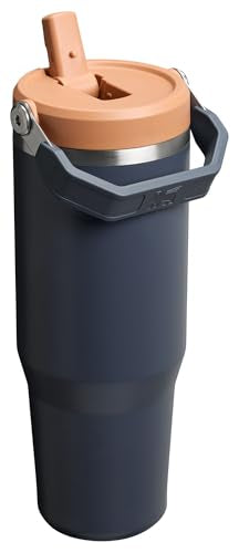 Stanley IceFlow Flip Straw Tumbler 30 oz Insulated Stainless Steel Lilac Z941193