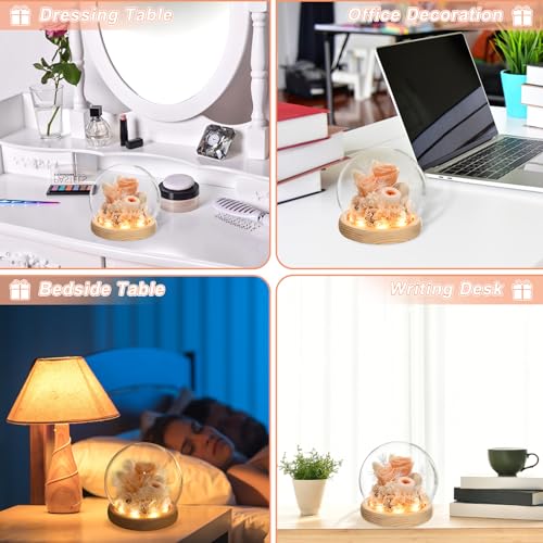 Preserved Real Rose in Glass Dome with LED Light for Women D176155