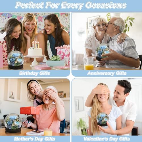 Rose in Glass Dome with LED Light - Gifts for Women Mom Grandma L94341