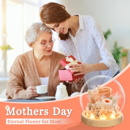 Preserved Real Rose in Glass Dome with LED Light for Women D176155