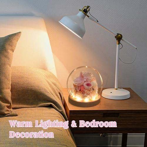 Preserved Real Rose in Glass Dome with LED Light for Women D176155