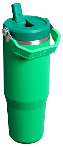 Stanley IceFlow Flip Straw Tumbler 30 oz Insulated Stainless Steel Lilac Z941193