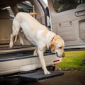 Otto Step Pet Ramp Step Helps Dogs Get in & Out of Car Van SUV | Portable Lightweight Dog Ramp | Simply Slide into 2” Trailer Hitch | No Tools Needed | Big & Small Dogs | Essential Pet Gear