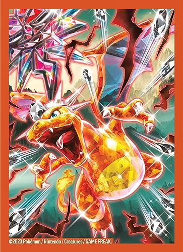 Pokemon TCG Charizard ex Premium Collection Y18918