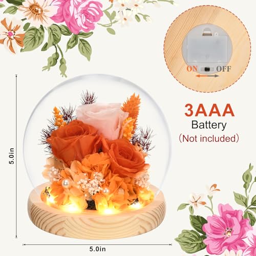 Preserved Real Rose in Glass Dome with LED Light for Women D176155