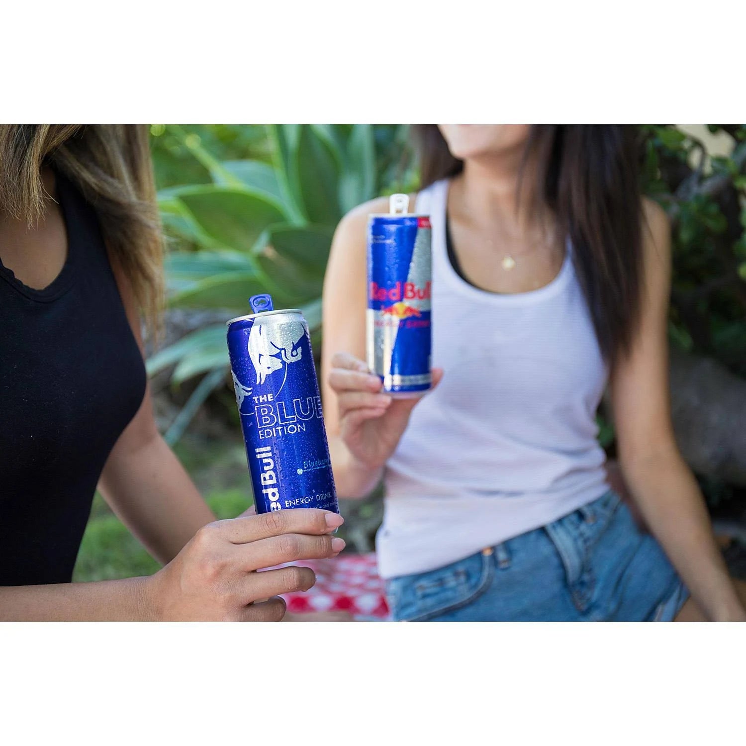 Red Bull The Blue Edition Energy Drink 24 Pack 8.4 oz Cans D682085