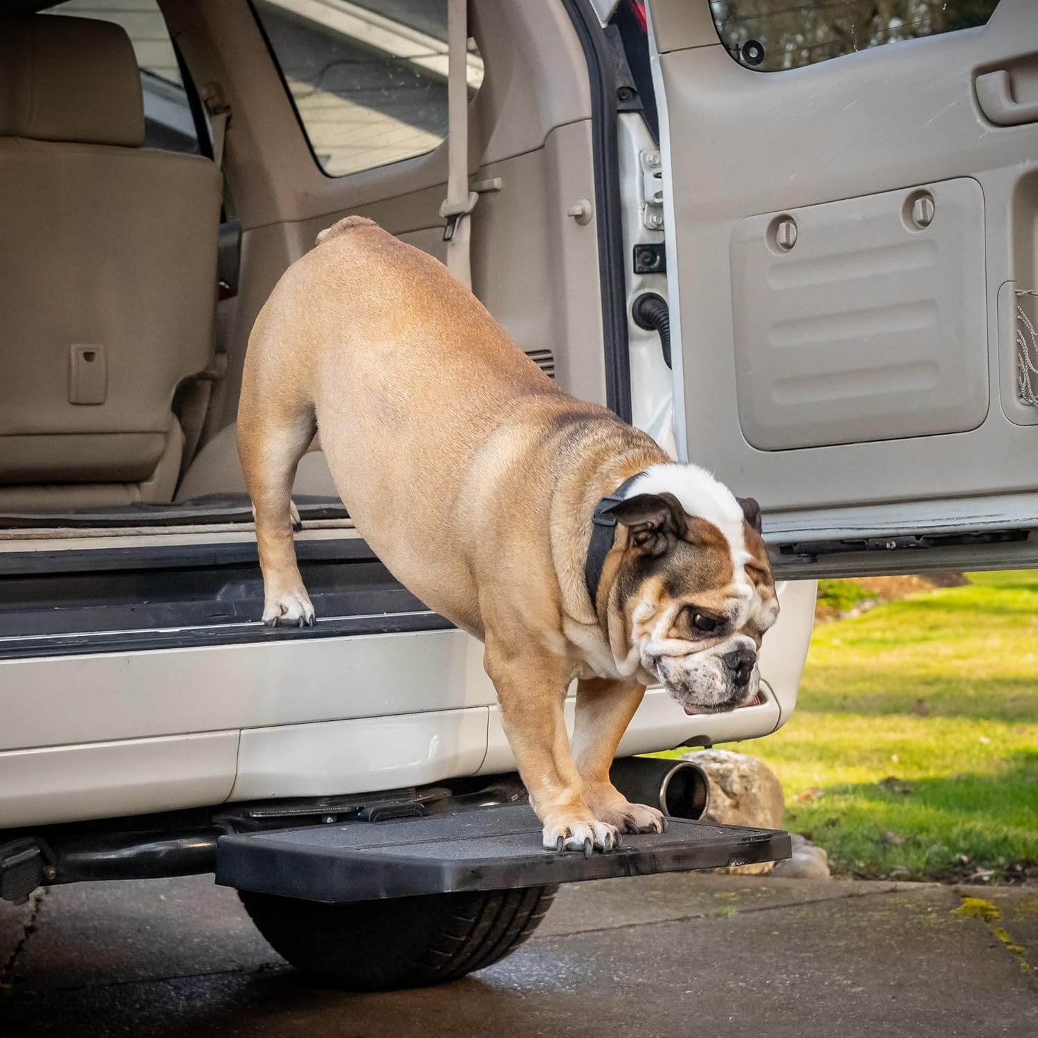 Otto Step Pet Ramp for Dogs Car Van SUV Portable Lightweight X411468
