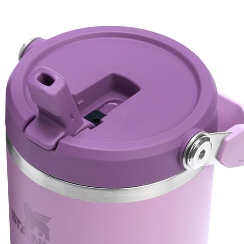 Stanley IceFlow Flip Straw Tumbler 30 oz Insulated Stainless Steel Lilac Z941193
