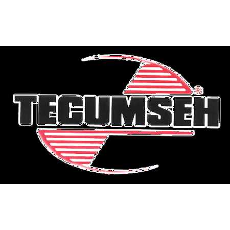 Tecumseh Engine Carburetor Repair Kit 632760B I42436