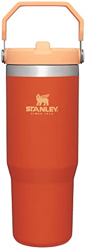 Stanley IceFlow Flip Straw Tumbler 30 oz Insulated Stainless Steel Lilac Z941193