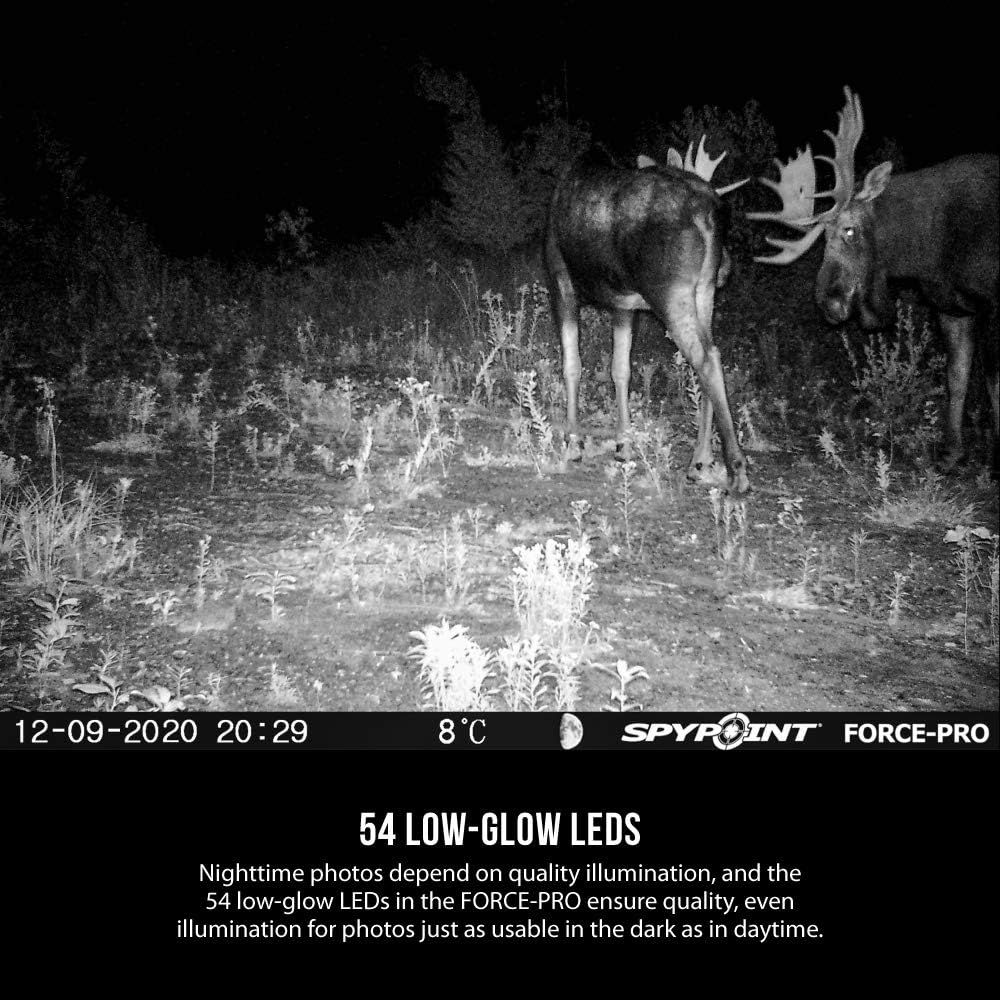 SPYPOINT Force-PRO Trail Camera 30MP with 16GB SD Card and Steel Reinforced Strap D942