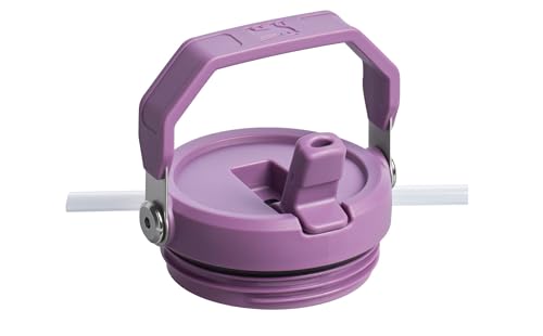 Stanley IceFlow Flip Straw Tumbler 30 oz Insulated Stainless Steel Lilac Z941193
