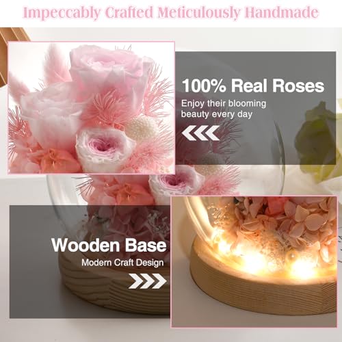Preserved Real Rose in Glass Dome with LED Light for Women D176155