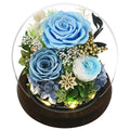 Rose in Glass Dome with LED Light - Gifts for Women Mom Grandma L94341