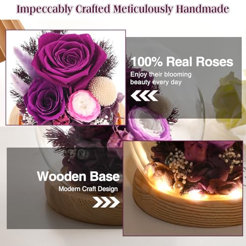 Preserved Real Rose in Glass Dome with LED Light for Women D176155