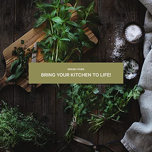 Organic Indoor Herb Garden Starter Kit - Made in USA P11768